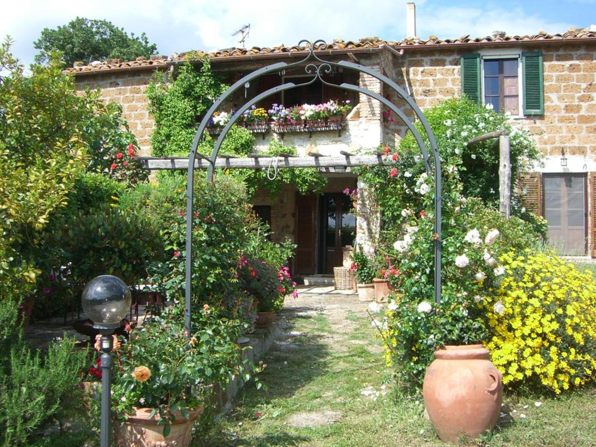 Le Querciolaie Monte Cavallo - Upper Apartment Saturnia Eksteriør billede