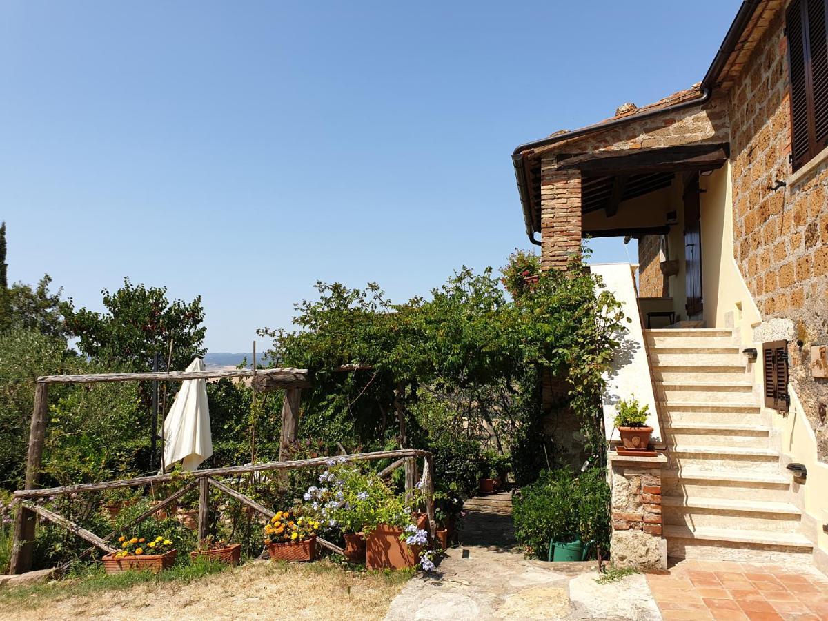 Le Querciolaie Monte Cavallo - Upper Apartment Saturnia Eksteriør billede